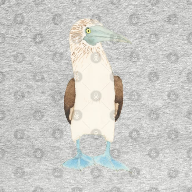 BLUE-FOOTED BOOBY - Watercolor Design by VegShop